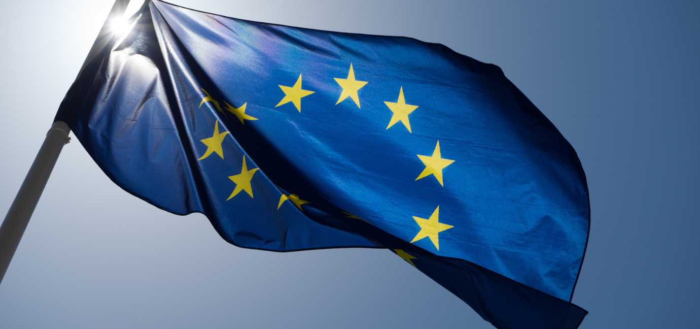 EU Flag Medium