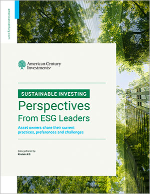 Perspectives from ESG Leaders White Paper