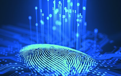 Digital_fingerprint