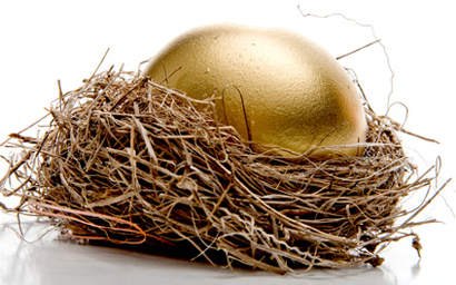 nest_golden_egg_410