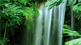 waterfall_jungle