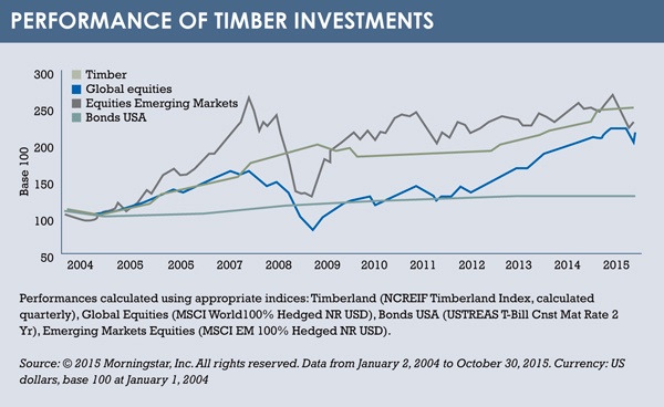 Timber investments graph