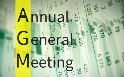 AGM Annual general meeting
