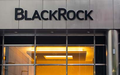 BlackRock_branch