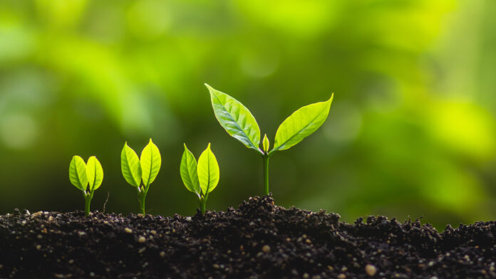 ESG_growing plant_