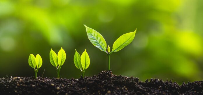 ESG_growing plant__new